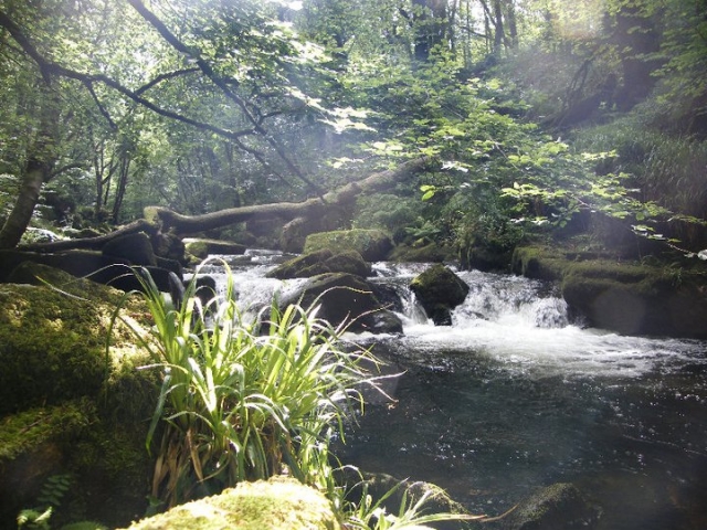  Disfruta del contacto con la naturaleza 